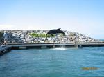 IMG_0627_1.jpg